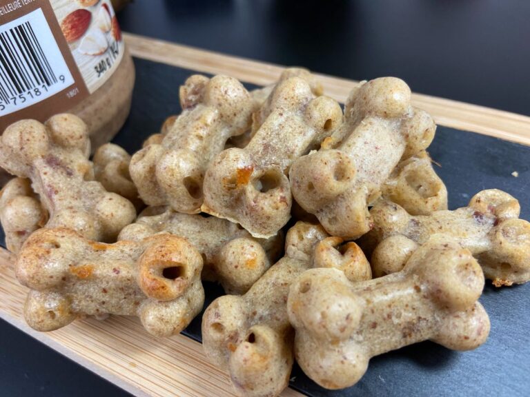 homemade dog treats recipes