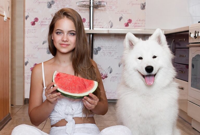 Can Dogs Eat Watermelon? Rinds, White Seeds, Chunks Can Dogs Eat Watermelon? Rinds, White Seeds, Chunks