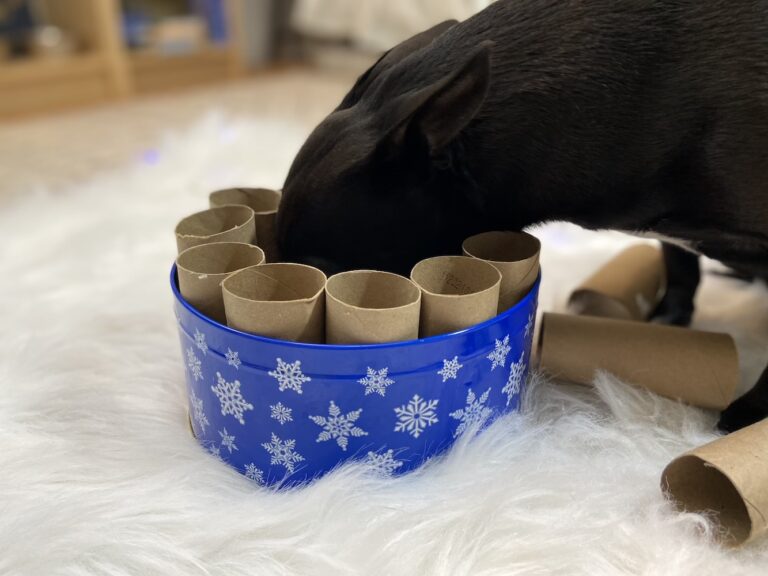 DIY Dog Toy
