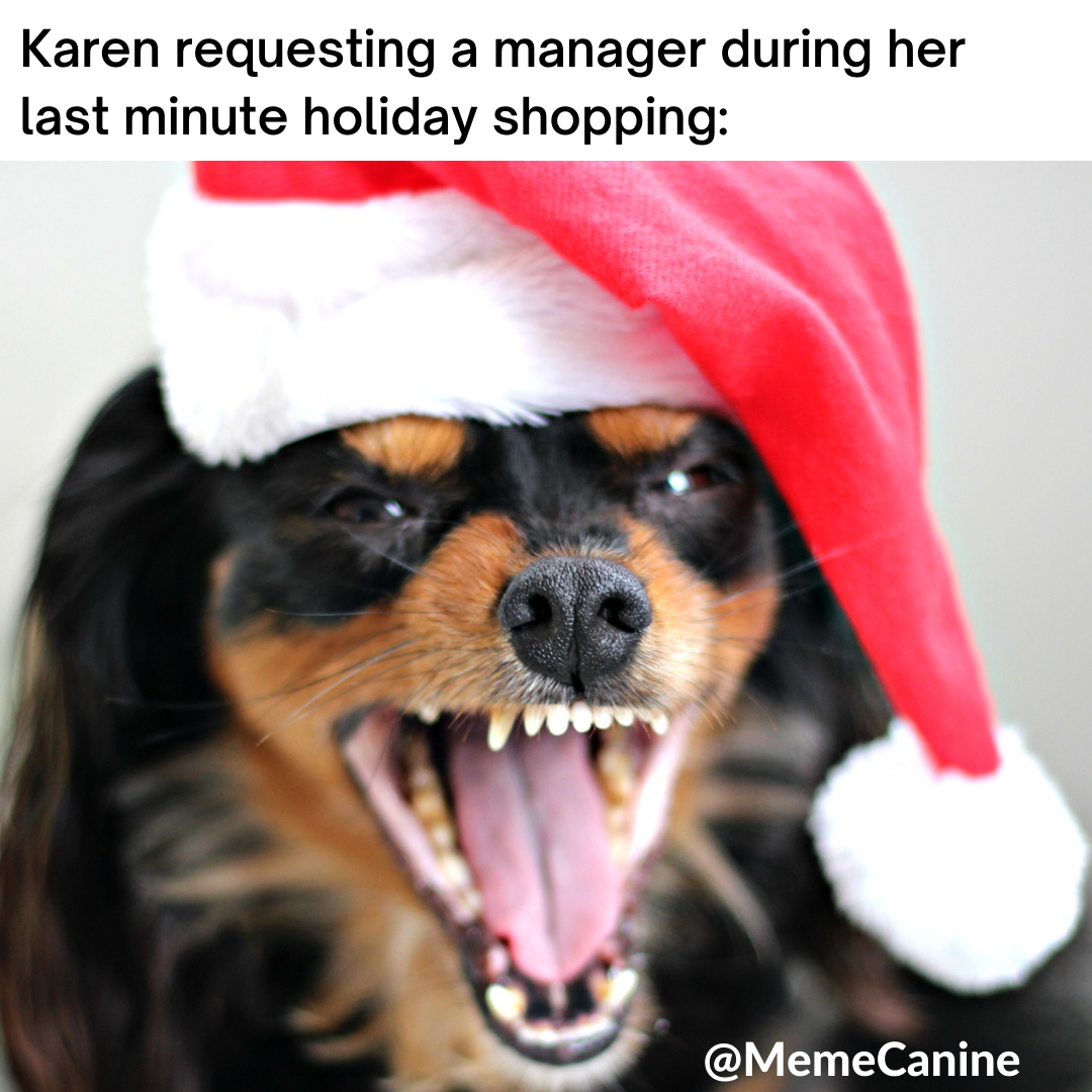 dog christmas memes, funny memes