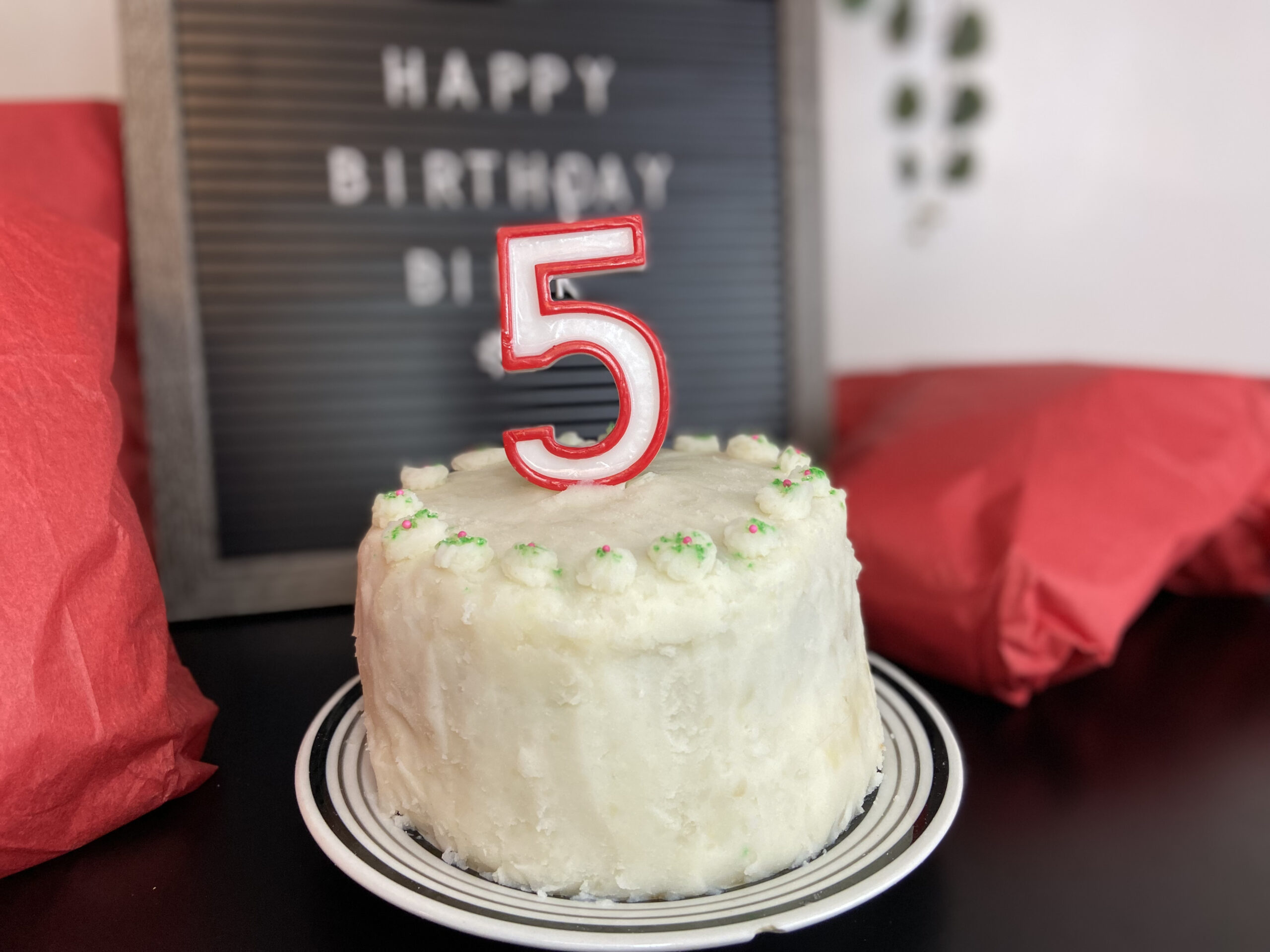 Dog Birthday Cake Recipe, How To Make a Dog Cake
