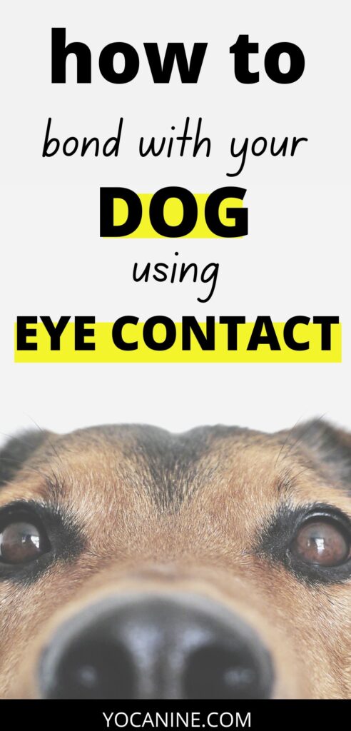 Remove term: bond with dog bond with dog