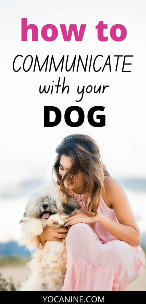 communicate dog, dog body language