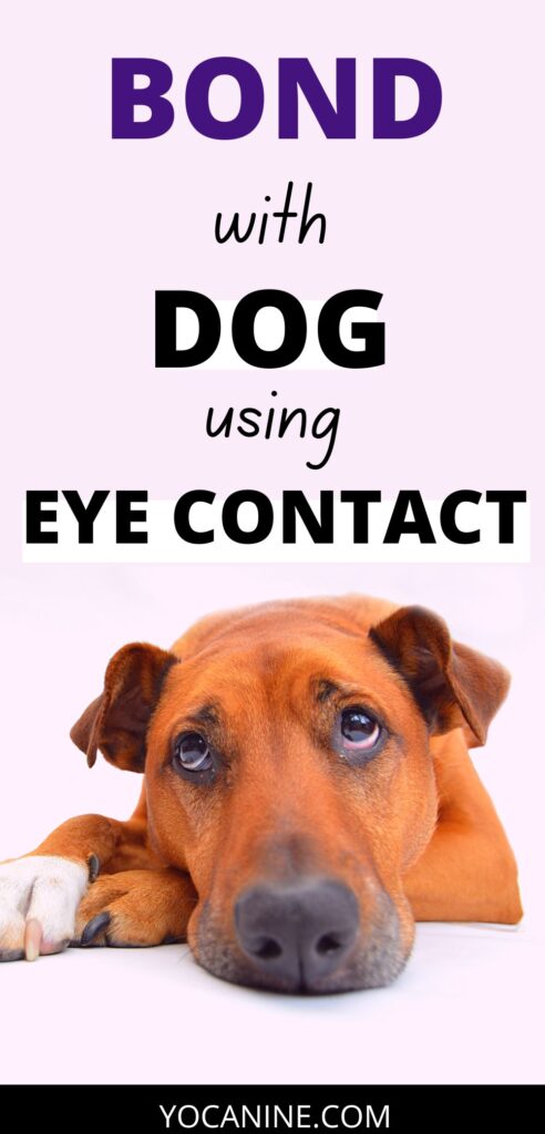 Remove term: bond with dog bond with dog