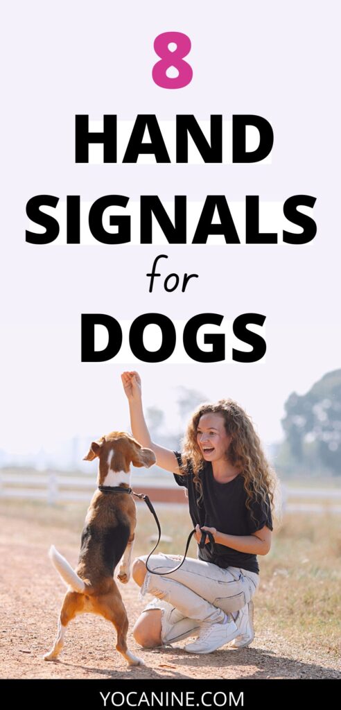 dog hand signals