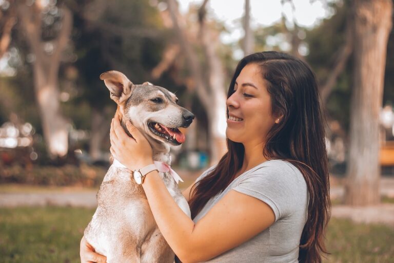 dog body language