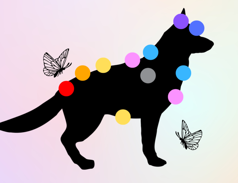 dog chakra energy healing
